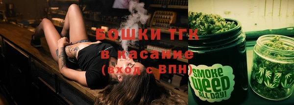 ПСИЛОЦИБИНОВЫЕ ГРИБЫ Абаза
