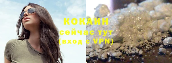 ПСИЛОЦИБИНОВЫЕ ГРИБЫ Абаза