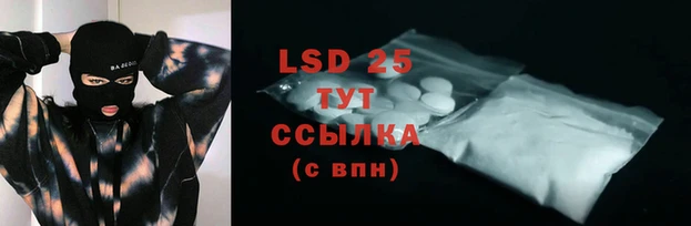 ПСИЛОЦИБИНОВЫЕ ГРИБЫ Абаза