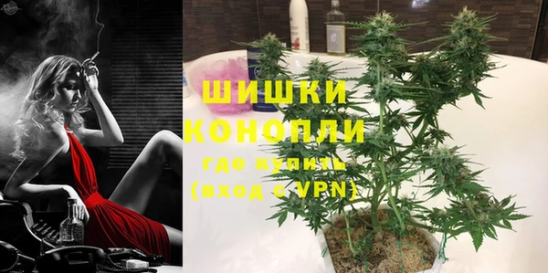 прущие грибы Рославль